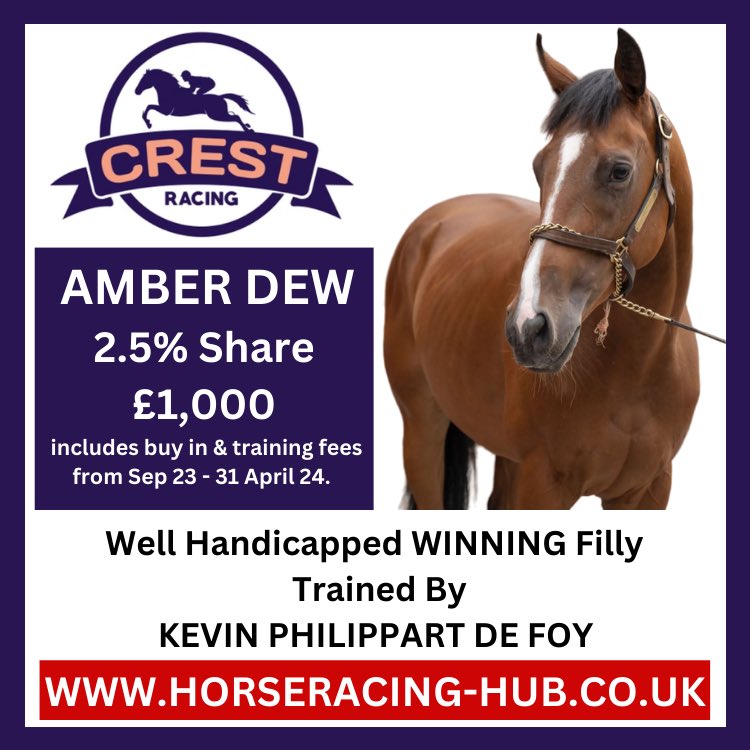 Here’s a great opportunity to get involved with @CrestRacing1 & @kpfracing AMBER DEW, a well handicapped WINNING filly has 2.5% equity owned shares for just £1,000 including buy in & training fees to end of April 24. For all the details visit horseracing-hub.co.uk/horse/amber-de…