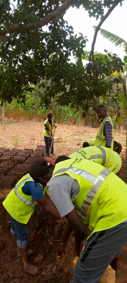 ViateurNiy15230's tweet photo. Uyumunsi kuwa 18/8/2023 Urubyiruko rwabakorerabushake(RYVCP) @NgaramaSectorR Twakoze umuganda muri #Bugamba cell/ Kajevuba Village wo kubumba amatafari 200 yo kubaka ubwiherero bw'umukecuru Mukaroni Marie ufite 88 years,Youth Volunteers ntakudohoka ,ntakudohoka, ntakudohoka. https://t.co/KQm0kG5tSc