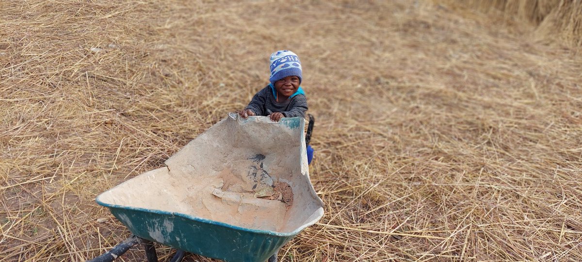 GloriossaC's tweet photo. #FutureFarmerofZimbabwe 
#Friday https://t.co/53hK1iuQpT