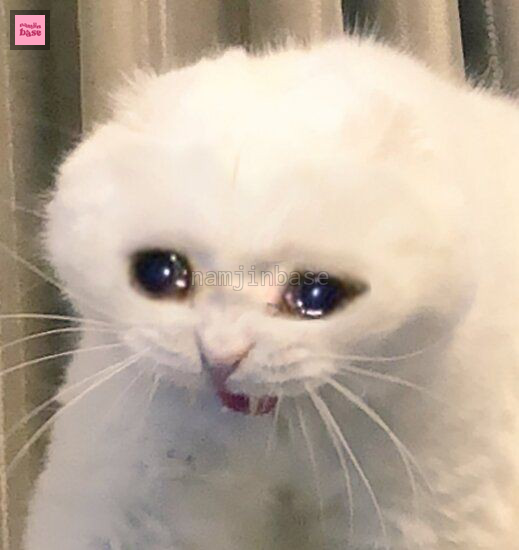 namjinbase's tweet photo. [NJ]

X : "shipper gue banyak moment"
Namjinist : "oh 😁"

X : "shipper gue sering flirting depan kamera"
Namjinist : "oh 😁"

X : "shipper gue ada run bts challenge"
Namjinist : https://t.co/HXn4G2YRU6