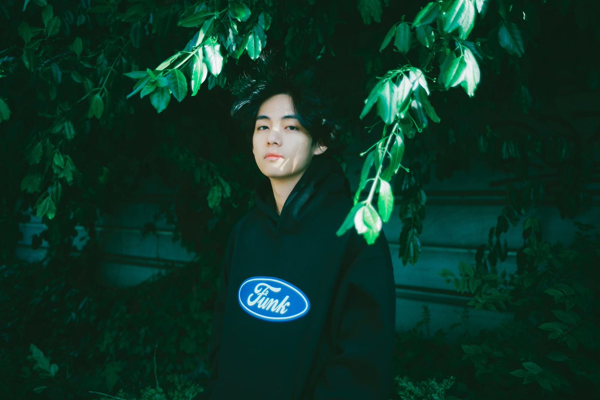 Winter Bear Brasil tweet media