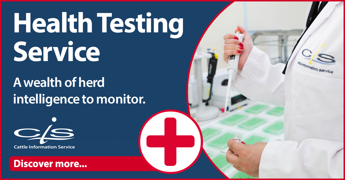 CISTelford's tweet photo. We provide insight from Milk, Tissue and Blood Samples to help manage herd health.

The milk sample holds a wealth of health information for dairy herds, maximise on this by routine health testing when milk recording. 

https://t.co/RHtedTTy6K https://t.co/mMEJf0tPgd