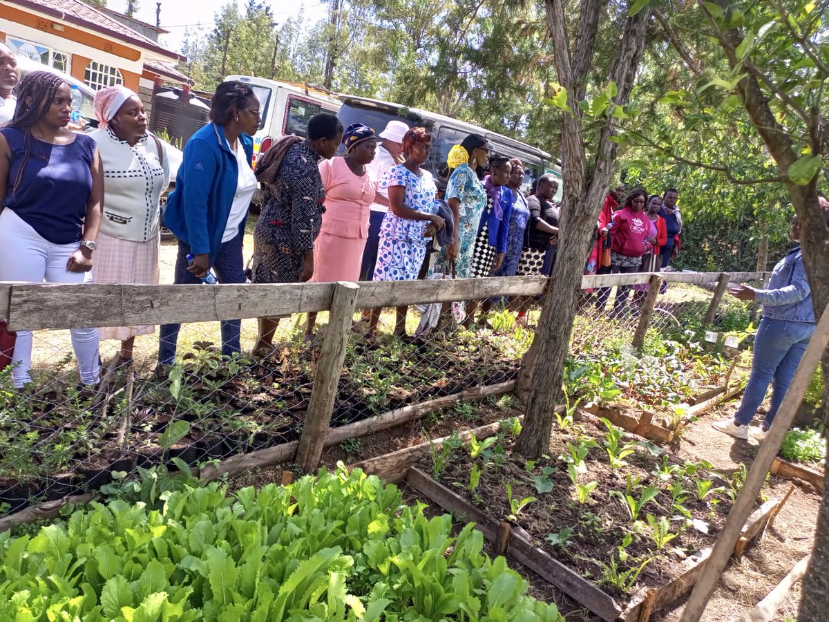 hivosroea's tweet photo. #RuralWomenCultivatingChange

Our #RWCC Project aims to promote #GenderEquality and empowerment of young and adult women – particularly smallholder farmers, female heads of households and SGBV survivors. Currently conducting a women-led farmers policy dialogue in @LaikipiaCountyG https://t.co/qFpzLUzoFT