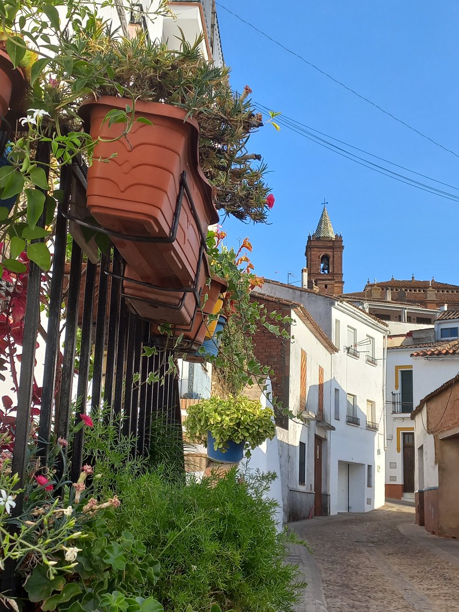 Cortegana_tur's tweet photo. Como nos gusta perdernos por las calles estrechitas y llenas de encanto de Cortegana 🥰🌺
#cortegana #huelvamagica #pueblosmagicosdeespaña #callesconencanto #destinosconencanto #turismointerior #turismorural #ecoturismo #pararespiraysientecortegana #sierradearacenaypicosdearoche https://t.co/VLXQz0zBqz