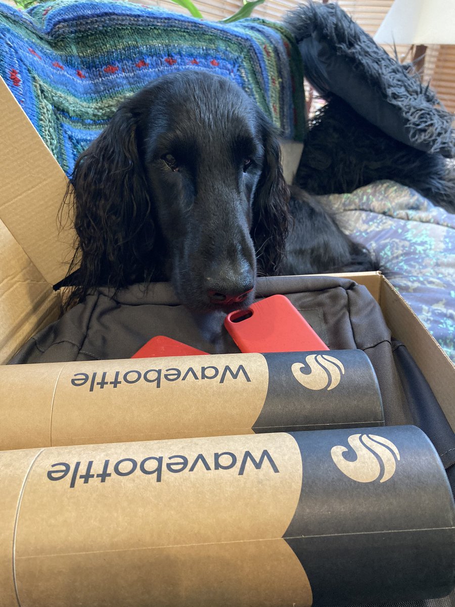 FjordSar's tweet image. So delighted to have #wavecase on board to support FjordSAR CIC. Autumn will be soon be here, along with the variety of fun events we’re attending. #Sponsored #supportsmallbusiness #protecttheplanet