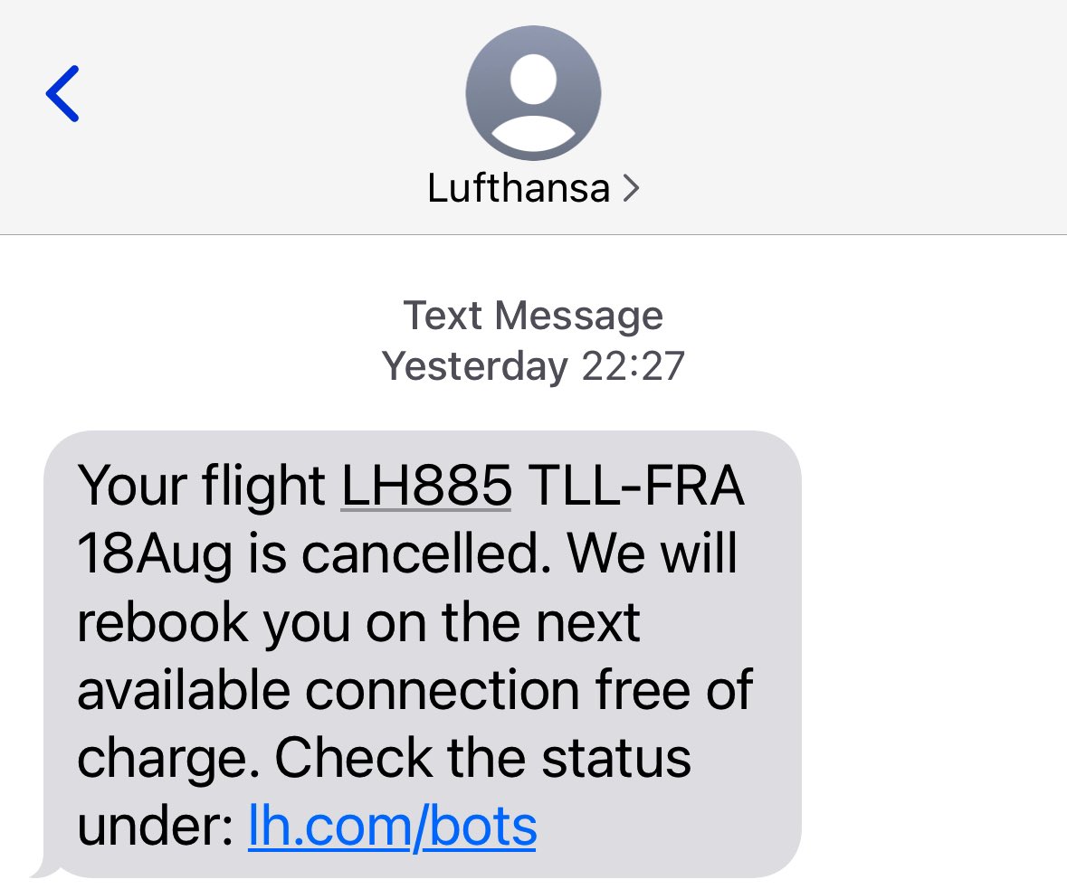 Carmen Kass tweet media