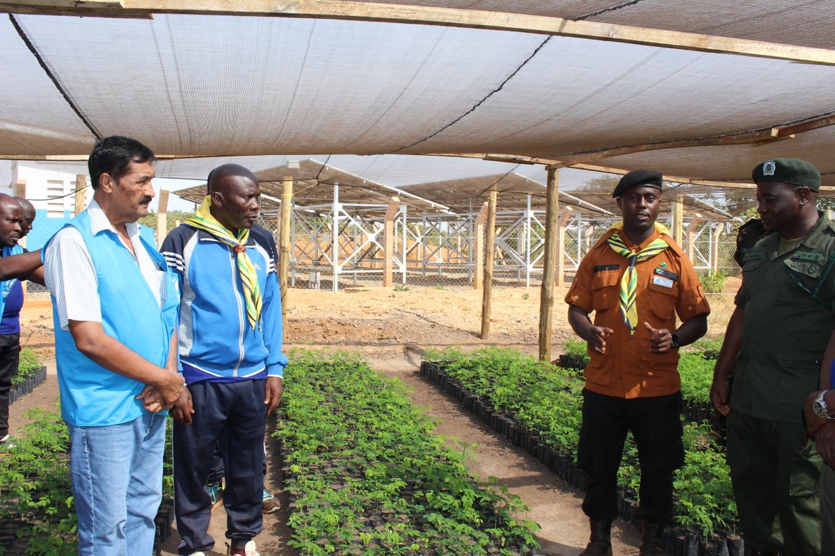 UNHCRTanzania's tweet photo. As part of implementing the #ClimateResilienceProject funded by @BelgiumTanzania, the Tanzania Uhuru Torch launched a Tree Nursery center under @TFSAgency in the Kasulu District.
The center has more than 250,000🌲that will be planted to restore degraded natural ecosystems.
#KJP https://t.co/zp4Ynq0R11