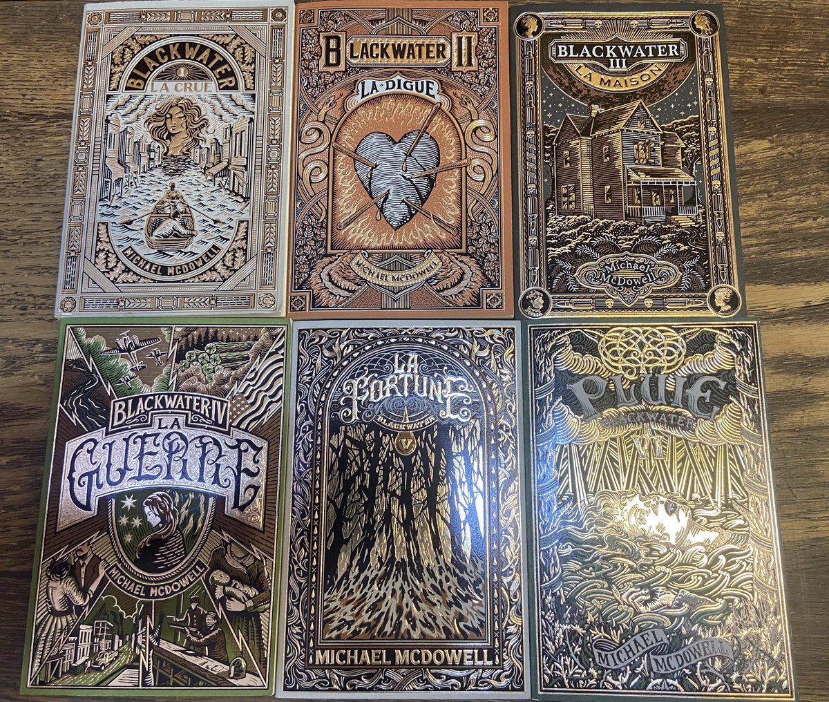 bourselyon's tweet image. Magnifique saga !

#blackwater #mcdowell #michaelmcdowell #fantasy #fantastique #saga #neuf #librairie #libraire #librairielabourse #librairielyon #lyon1