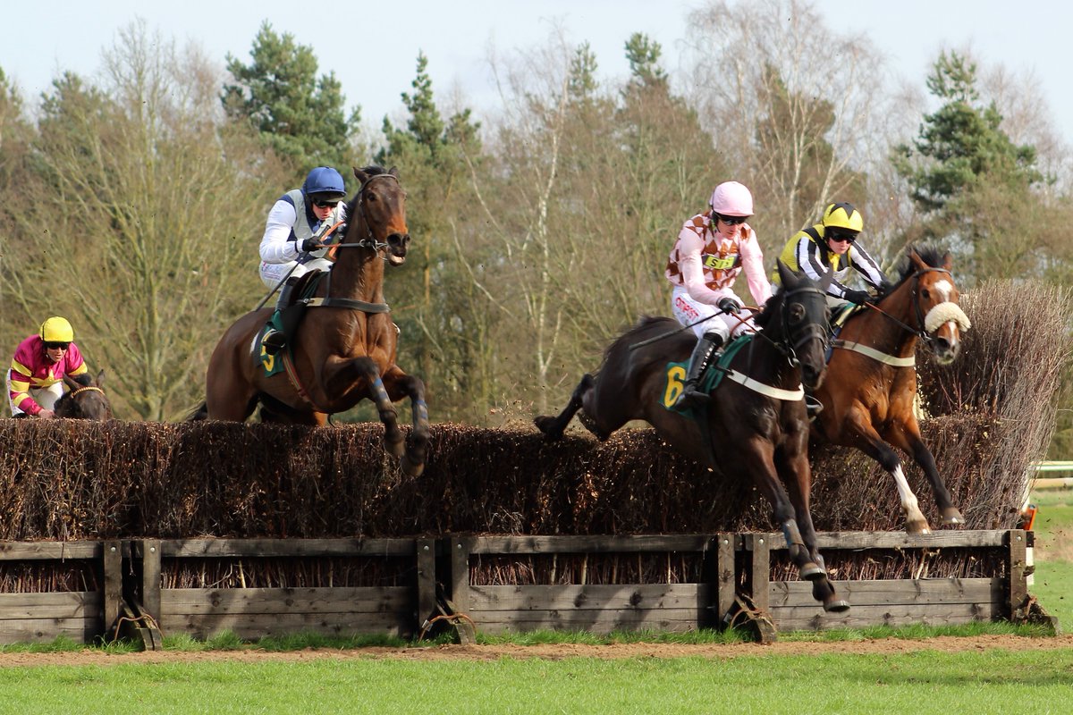 They blew up a storm,
no gale, but a race for life,
riders holding court.

#vssdaily #gale
#vss365 #Court
#Haiku
#amwriting
#Micropoetry 
@FakenhamRC 
@TheJockeyClub