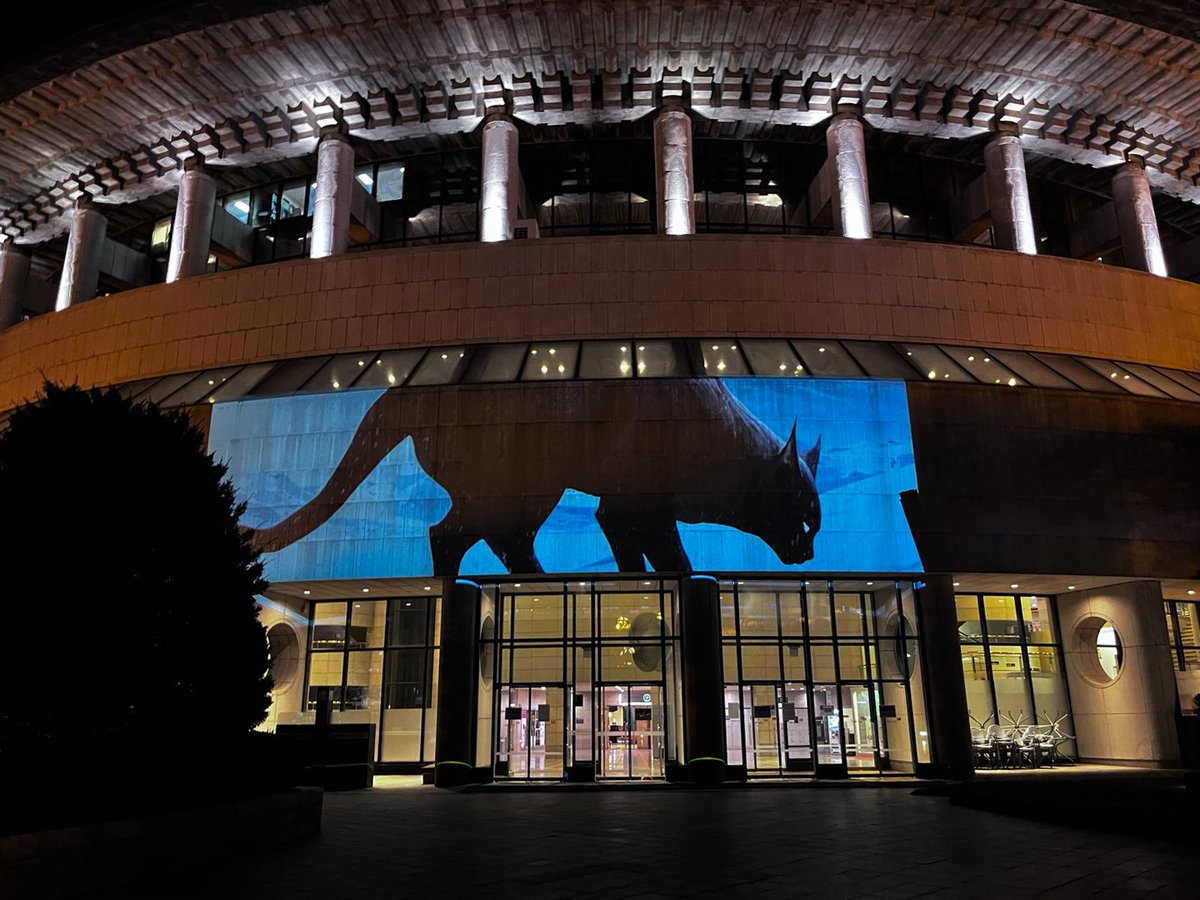 DASVERSE tweet media