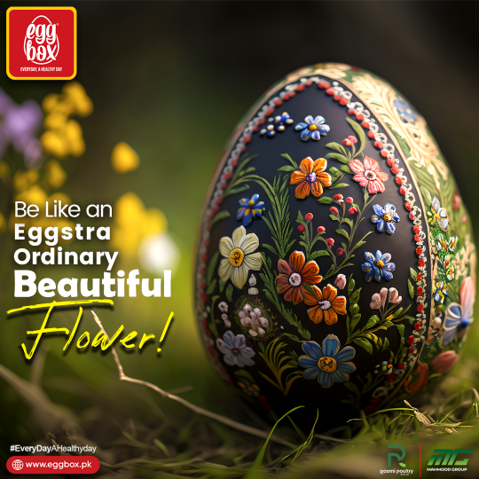 EggBoxPk's tweet photo. Embrace the sunlight of possibilities, Bloom with Resilience, and let your talent inspire the world!
#Eggbox #EveryDayAHealthyDay #OmegaMax #ImmunityForaStrongerYou #VitaWhite #vitaminsfromthenature
#SimplyEggs #ForAHealthierLife #YehKoiAamAndaNahi #goldeneggwinner🏆 https://t.co/ko14c97cCu
