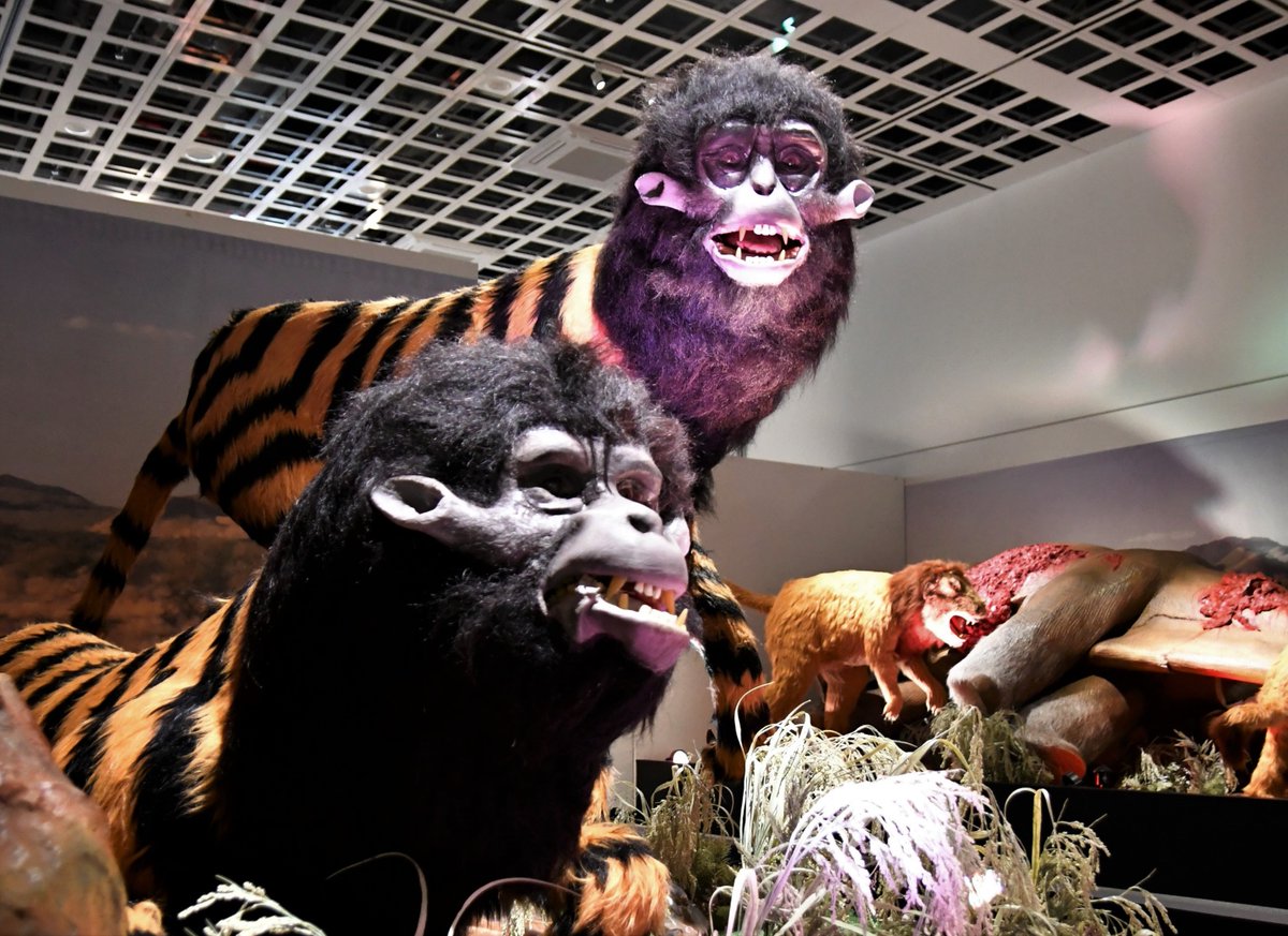 閉幕まであと1週間あまり！

東北初開催のアフターマン展をお見逃しなく！！！

#アフターマン展 #アフターマン展青森 #青森県 #青森市