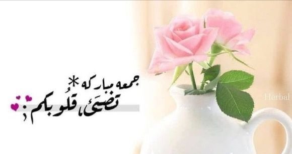 ۞ إنّ اللّهَ ومَلائِكَتهُ يُصَلّونَ عَلَى النّبيْ يَا أيّهَا الّذينَ آمنُوا صَلّوا عَليهِ وَسَلّمُوا تَسْلِيمَا ۞