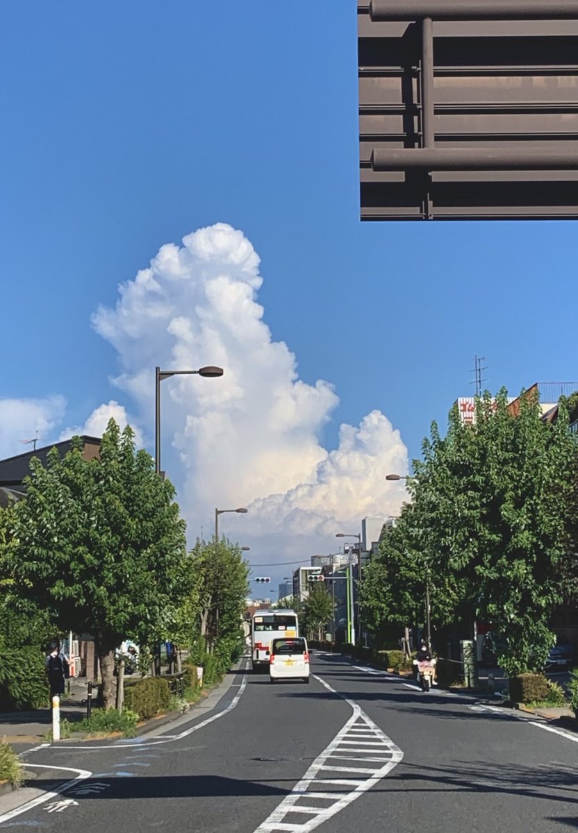 とても夏らしい入道さん