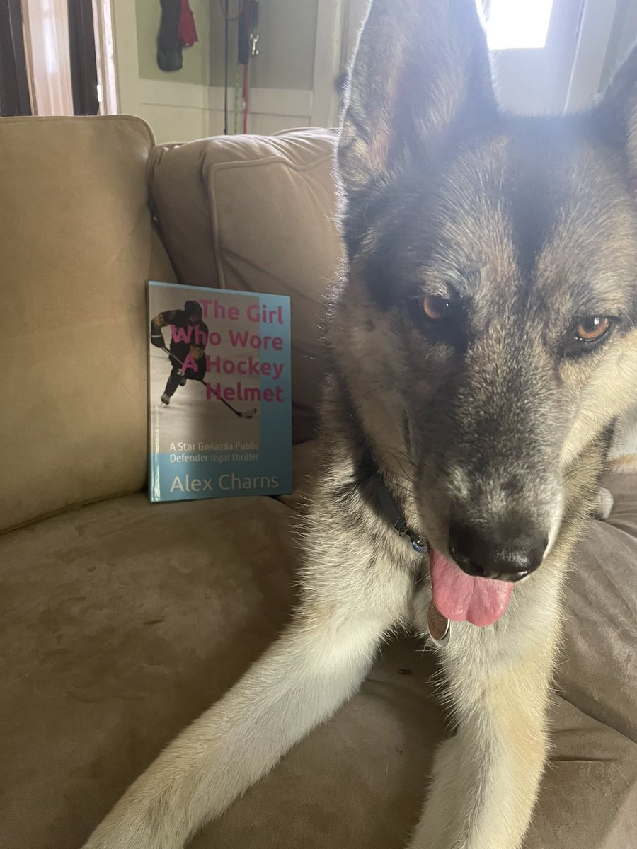 AlexCharns's tweet image. Annie can't read but if she could, she'd agree with Kirkus Reviews about The Girl Who Wore a Hockey Helmet being a "winning legal thriller" with its "vivid depiction of deep-seated Southern corruption with a troubled yet appealing hero."  amazon.com/Girl-Who-Wore-…