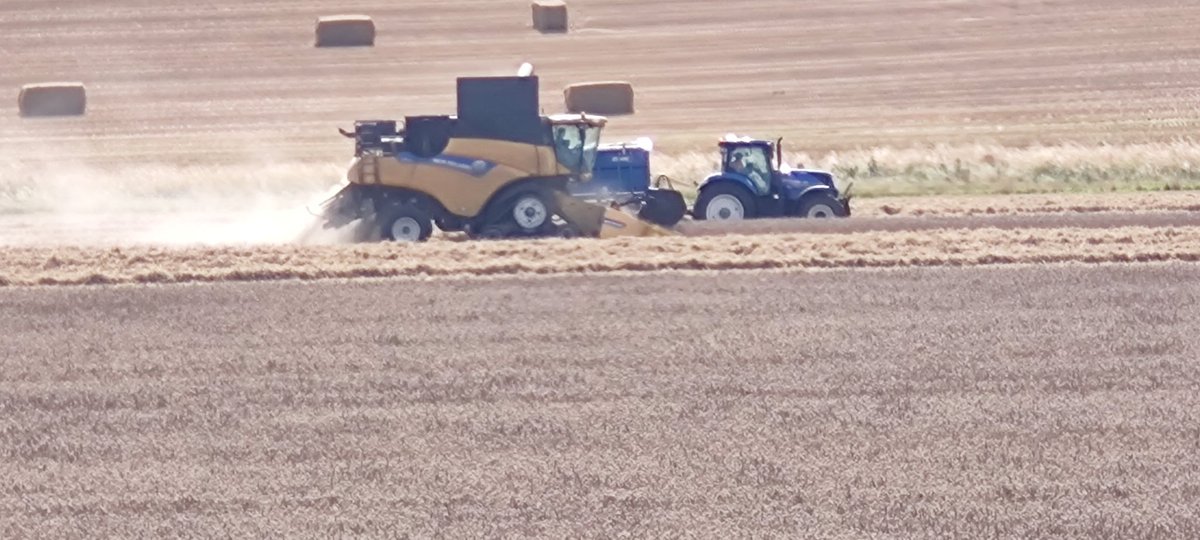 B4dlandz's tweet photo. @durkagamingHD The harvest was last week for me 😊 https://t.co/5UDYIl6jzw