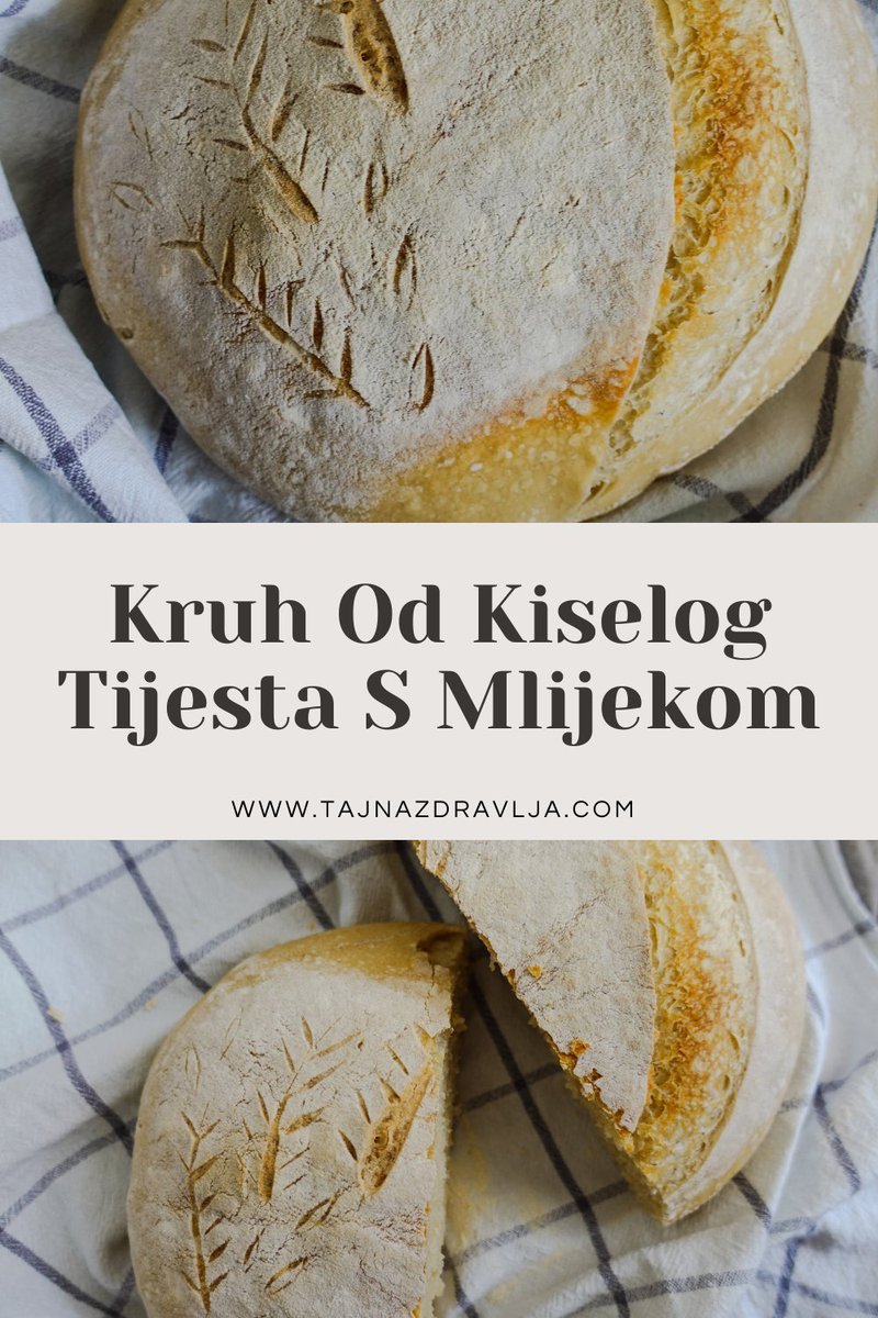 TZdravlja's tweet photo. Kruh od kiselog tijesta s mlijekom je idealan za početnike u izradi kruha od kiselog tijesta. To je bijeli kruh bogat okusom i teksturom. Lako se oblikuje zbog nižeg postotka hidratacije, a mlijeko ga obogaćuje okusom i daje mekoću korici.
https://t.co/p89PcI81Vs https://t.co/jbIaBy1taR