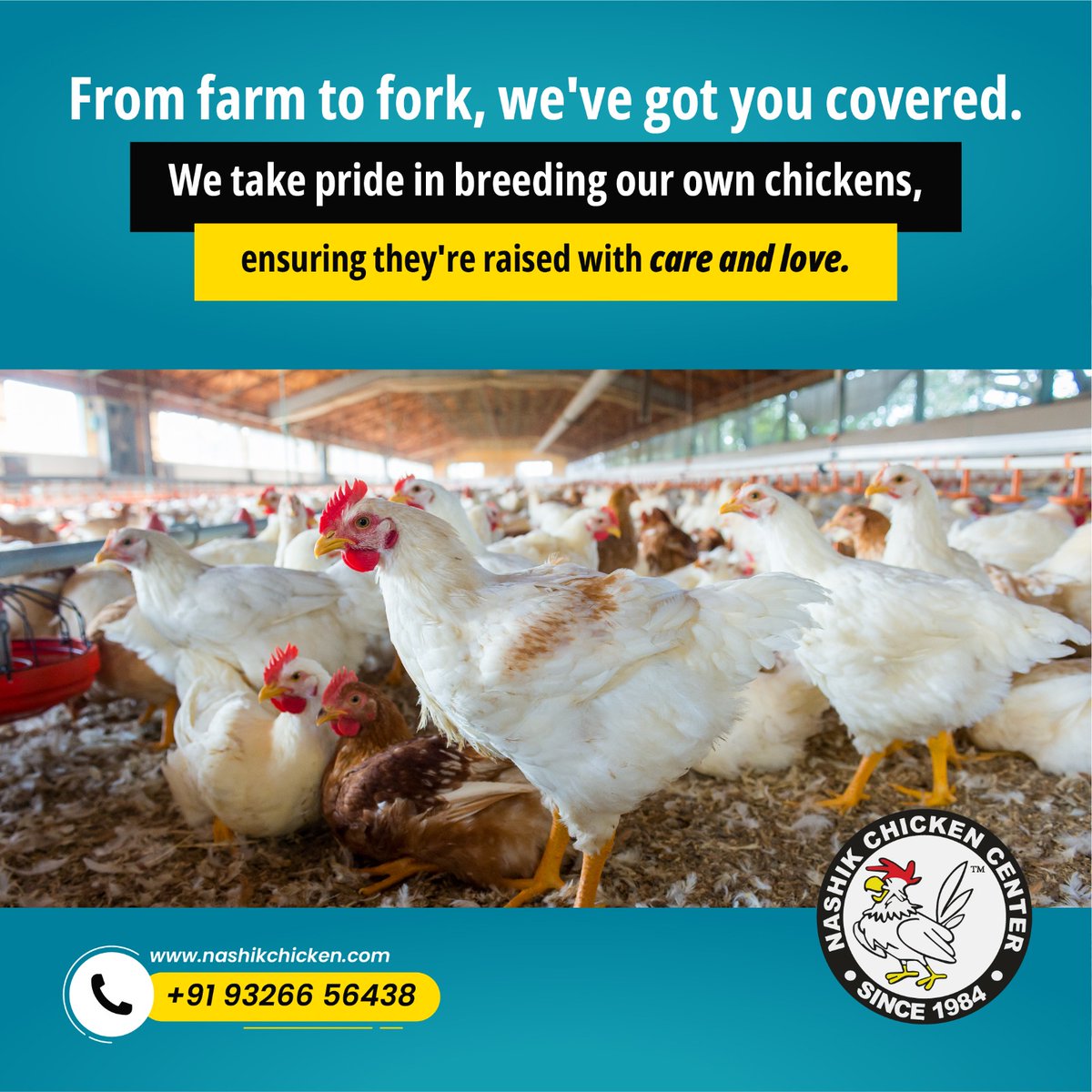 From Farm to Fork, a Journey of Care and Flavor! 🐔🍽️ 

#FarmToForkDelights #ChickensWithLove #PrideInBreeding #CarefullyRaised #FlavorfulFeasts #NashikChicken