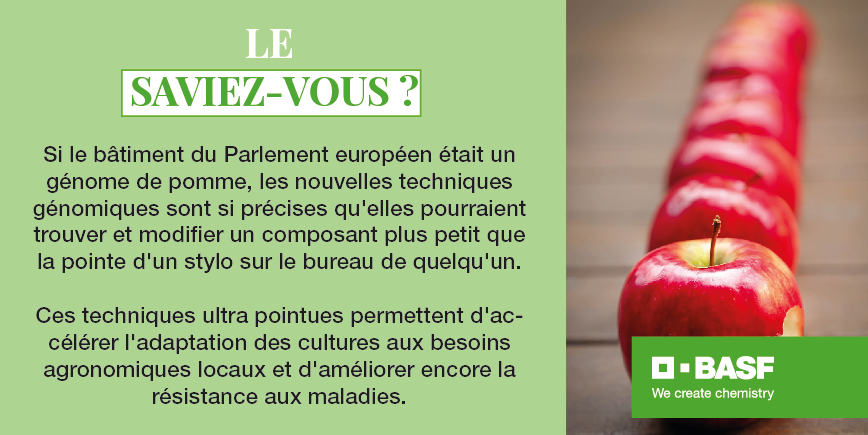 [#LeSaviezVous]
Grâce au séquençage des génomes des cultures, les scientifiques ont désormais un accès sans précédent aux informations sur l'ADN. Cela leur permet de cartographier les structures génétiques de la culture. Et grâce aux nouvelles technologies de selection ils