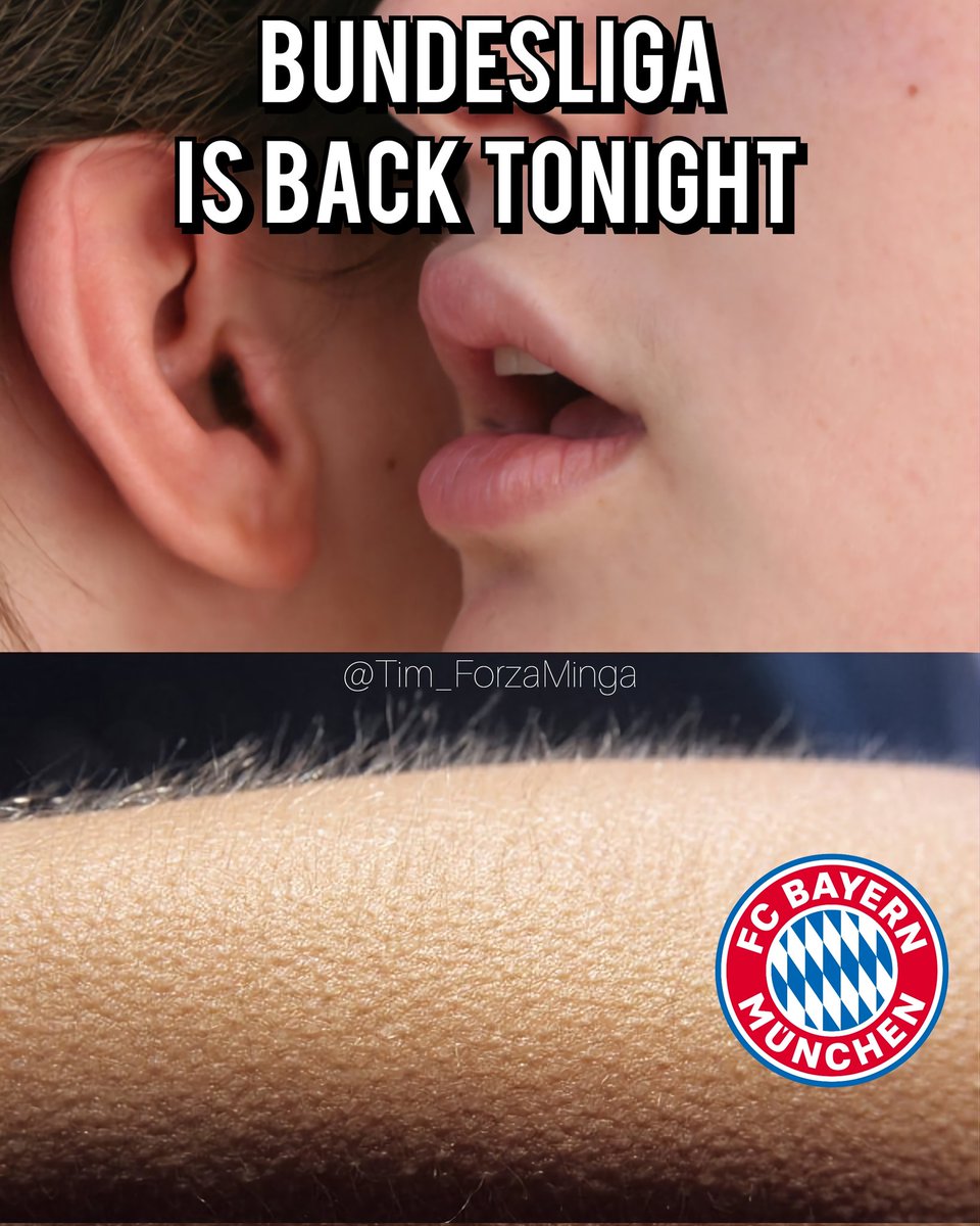 Die Bundesliga ist zurück, endlich geht's wieder los. Pack ma's! 🤩🔴⚪️ 

#SVWFCB #Bundesligaisback #Bundesliga60 #FCBayern