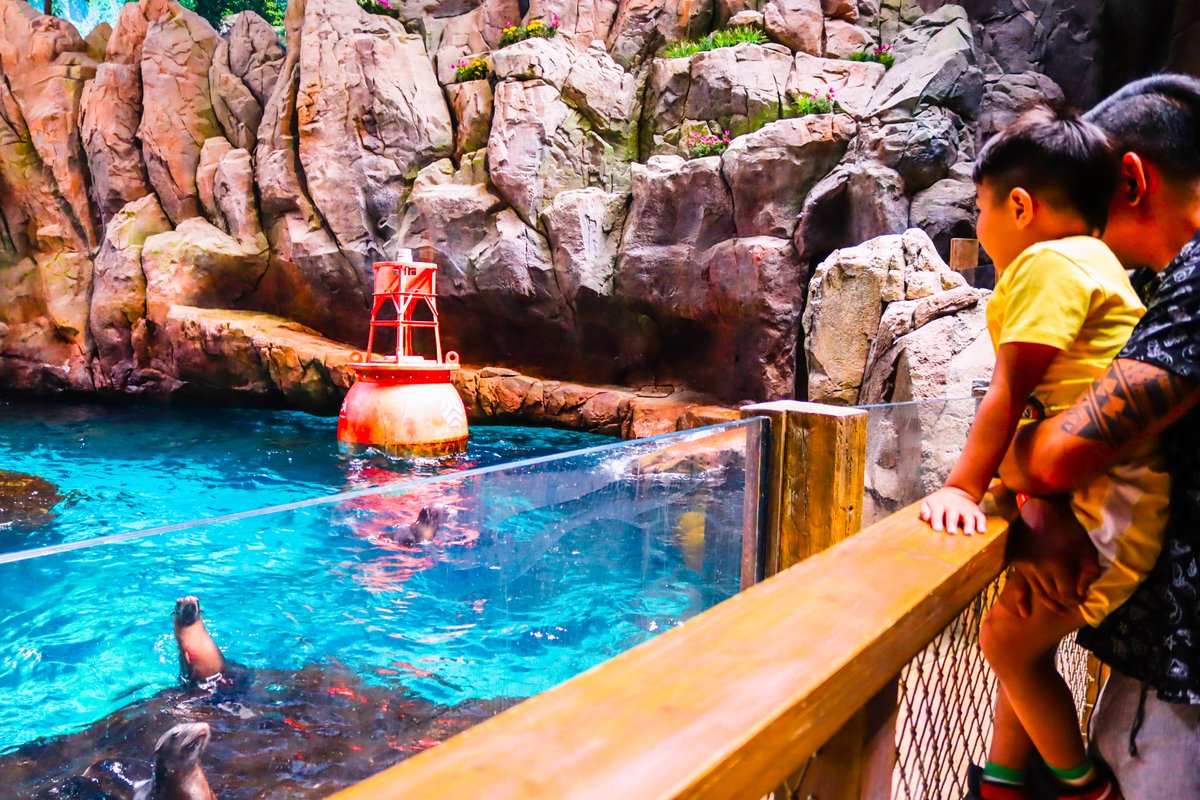 UAEMakeawish's tweet photo. Nathan had a great time with his family exploring the oceans at #SeaWorldAD ! Where he had the chance to meet and interact with the marine's life theme park animals!

Thank you to @themiralgroup @SeaWorldAD  @Staybridge in Abu Dhabi for making Nathan's wish come true 🐬🌟 https://t.co/VIYyomFU8K