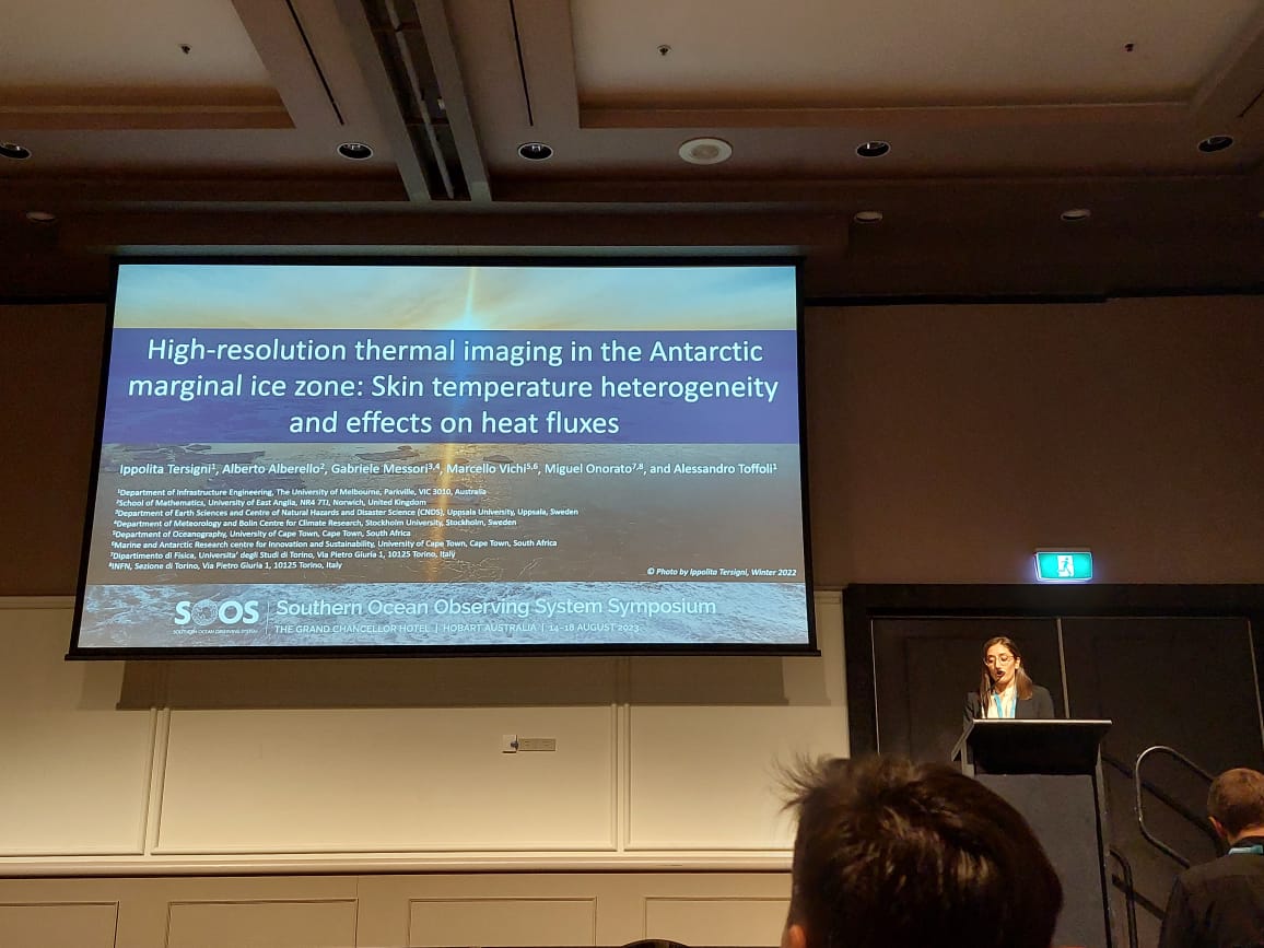 Ippolita Tersigni tweet media