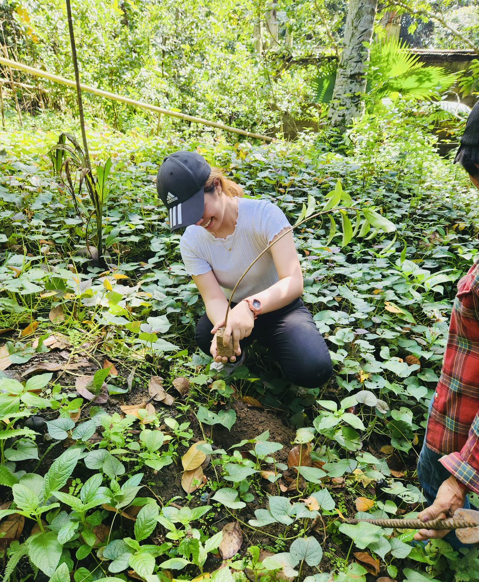 Saving our earth no matter the weather! 🌧️☀️Thank you <a href="/BLACKPINK_PH/">BLACKPINK PH 🇵🇭</a>, <a href="/WINNERPHYG/">WINNER Philippines</a>, and <a href="/WeTeuMesPH/">TREASURE Philippines</a> for supporting our idols’ advocacies as much as we support their music!

Chingus, if you’re interested in donating seedlings, stay tuned to our next post 🥰#KmmunityPHlovesBPPH