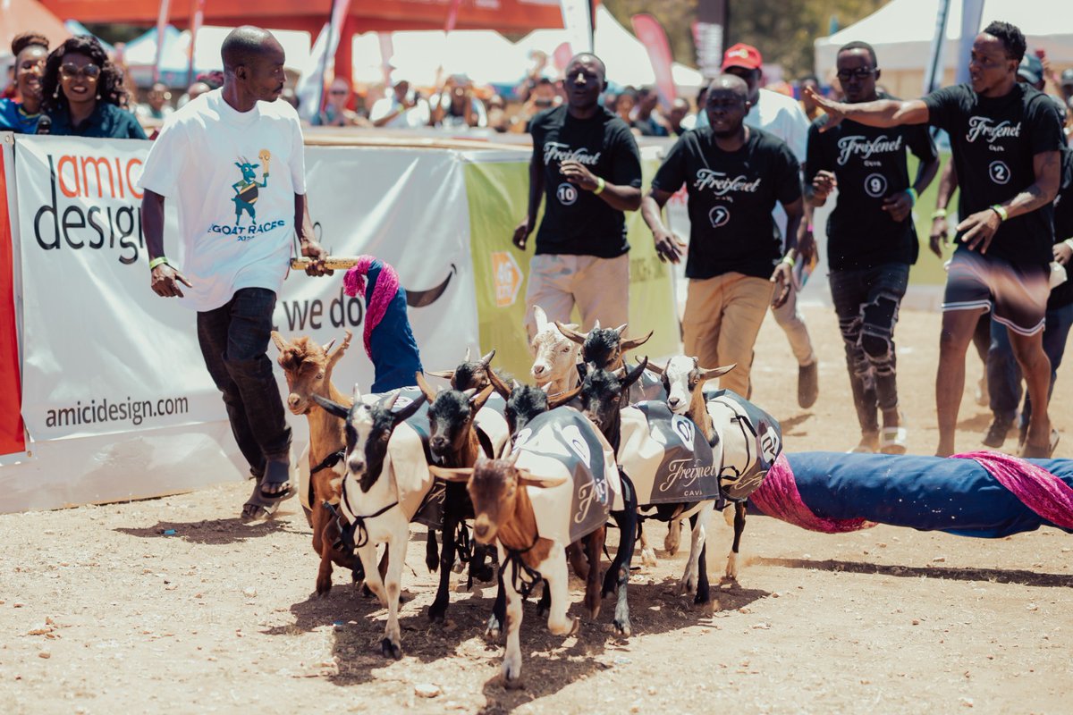 amicidesigntz's tweet photo. 🎉🐐 It's time to bring out your inner G.O.A.T! Join us at the 2023 Goat Races and let's create memories while supporting education and community projects!  See you at the Green, Oysterbay September 9th!  #TheGoatRaces  #AmiciDesign https://t.co/20FFzymlyM