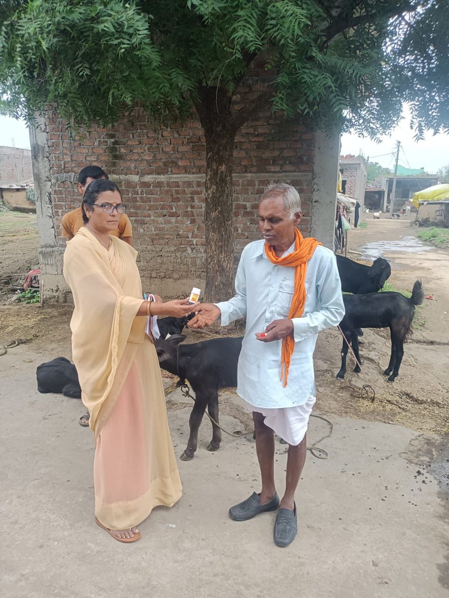 ayush_mp's tweet photo. रतलाम जिले के मलेरिया प्रभावित ग्रामों में नागरिकों को औषधि वितरित की गयी, साथ ही बच्चों को मलेरिया से बचाव हेतु मलेरिया ऑफ-200 की खुराक पिलाई गई।   

#JansamparkMP https://t.co/k2ipRQb5Hq