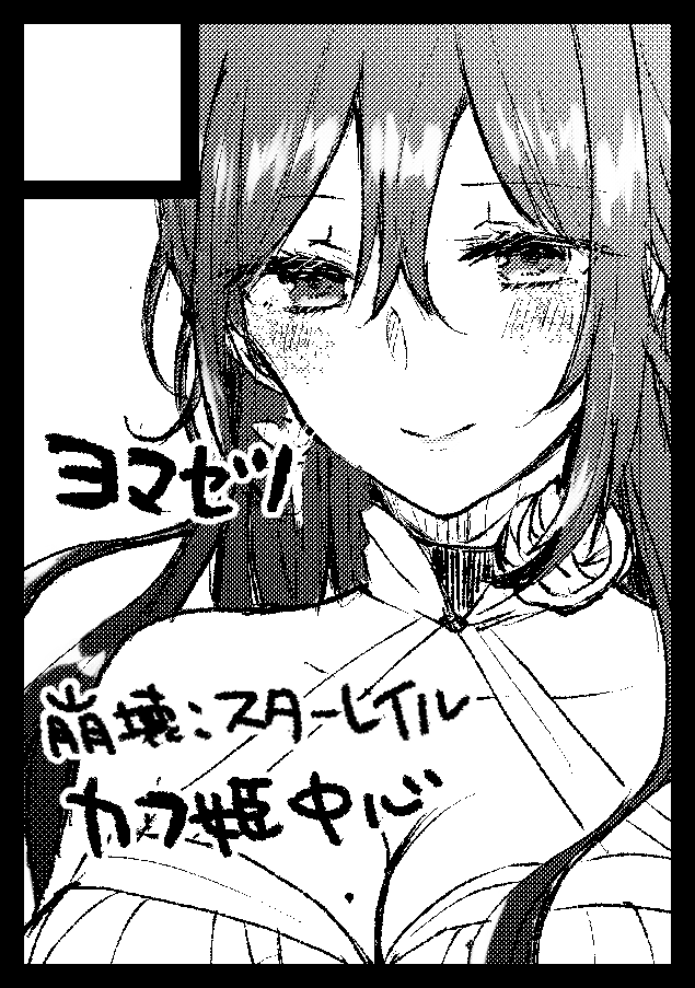冬コミ申し込み完了しました!スタレです～! 