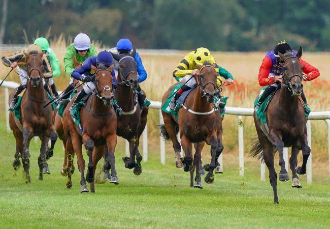 It's back <a href="/ThirskRaces/">Thirsk Racecourse</a> tonight (18th Aug) for an evening of racing, plus a sausage and cider festival with music. With <a href="/HeckFood/">HECK!</a> and <a href="/MashamCider/">Masham Cider Press</a> 
ow.ly/ut6I50Pwuqx