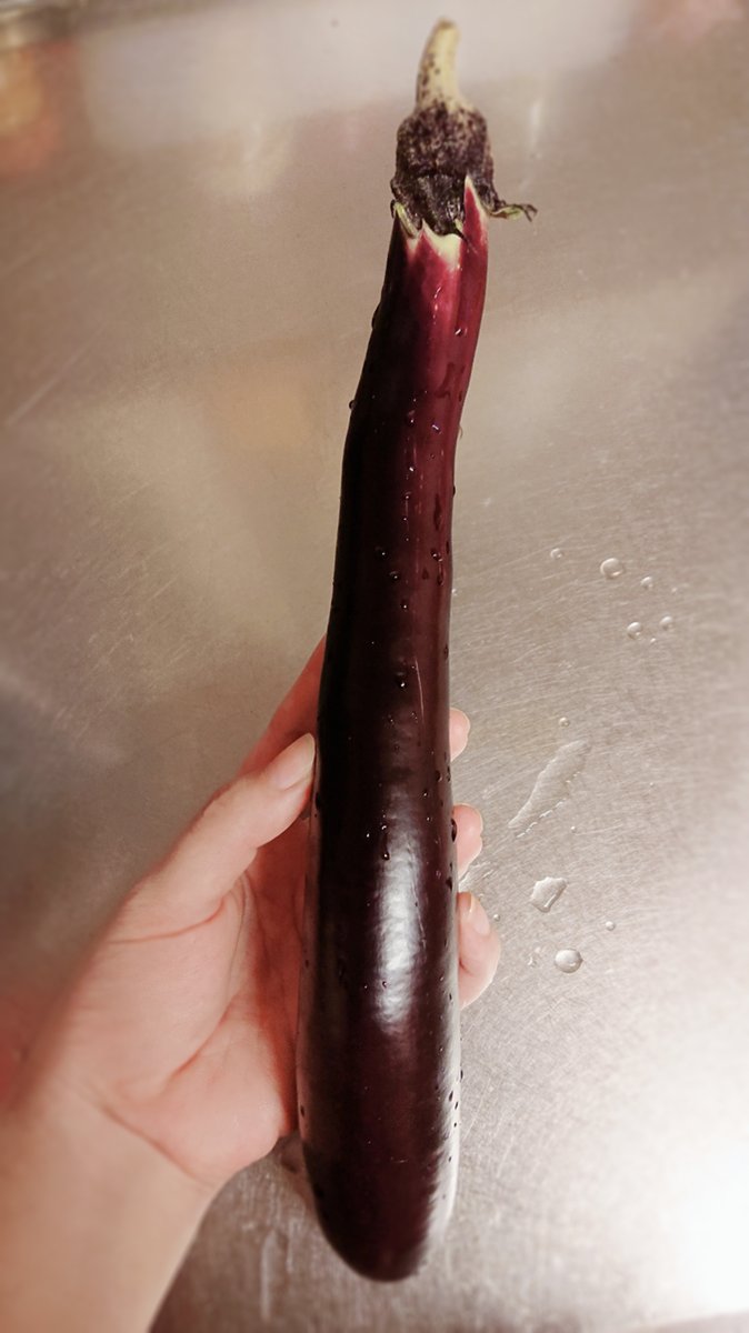 おナスちゃん2本目🍆刈り取りました!
こんな感じで長いです、32cmくらいあります😳
揚げ出しにしたいところですが…超ダイエット中なので蒸しナス等のあまり油を使わない食べ方を探してみます☺️(塩水に浸けるとあまり油を吸わなくなるらしいですね…!) 
