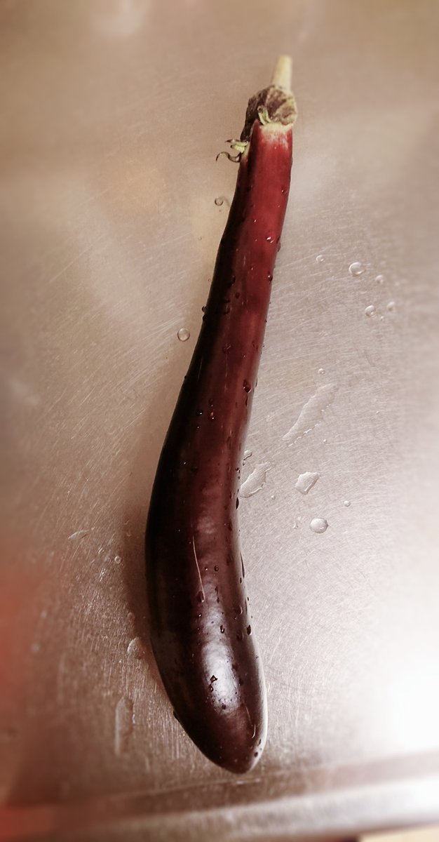 おナスちゃん2本目🍆刈り取りました!
こんな感じで長いです、32cmくらいあります😳
揚げ出しにしたいところですが…超ダイエット中なので蒸しナス等のあまり油を使わない食べ方を探してみます☺️(塩水に浸けるとあまり油を吸わなくなるらしいですね…!) 