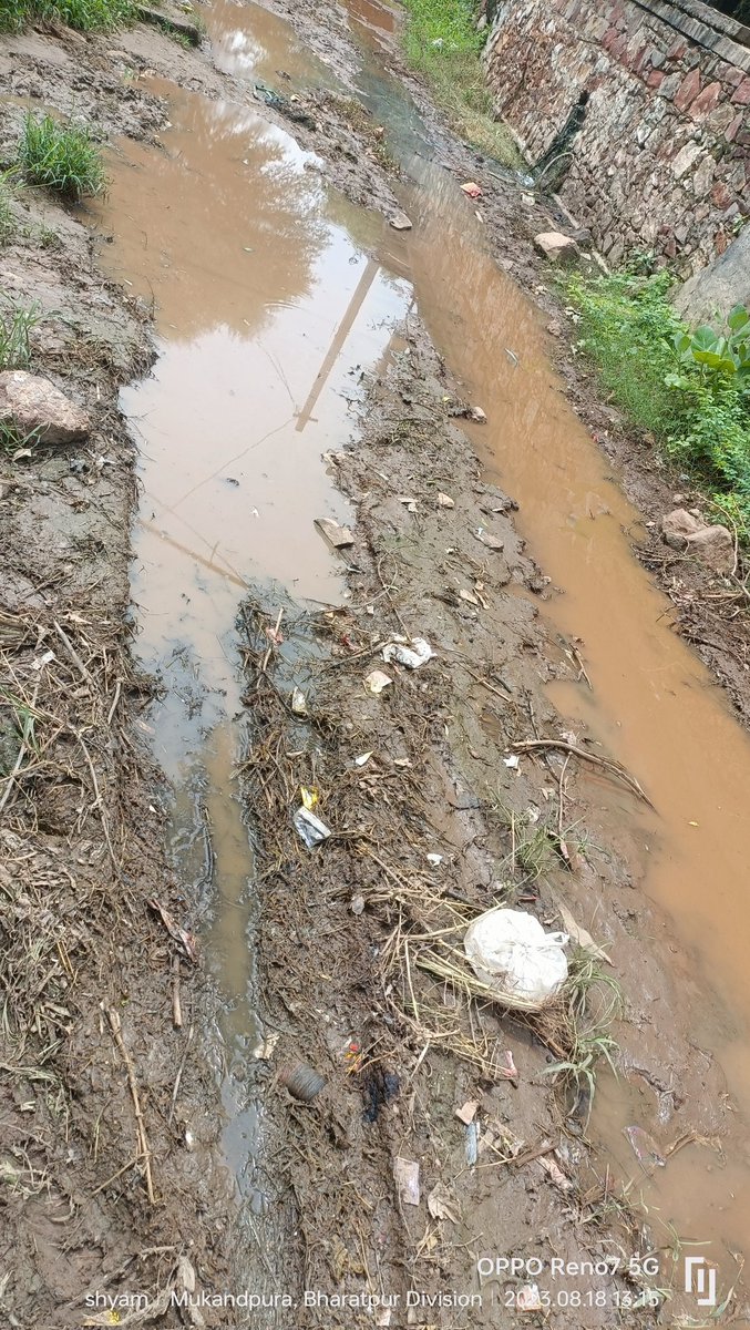 हिंडौन पंचायत समिति के अंतर्गत आने वाली ग्राम पंचायत बाढ़ जहाँ की सरपंच हैँ राजकुमारी जाटव, इस ग्राम पंचायत मे विकास की बात करें तो शायद बेबकूफी वाली बात होंगी,और सरकार पंचायती राज विकास की बात करते हैँ ये कैसा विकास हैँ ये कैसी सुगम राह हैँ
#rdpr <a href="/RDPR_Rajasthan/">Rural Development & Panchayati Raj Dept, Rajasthan</a> <a href="/ashokgehlot51/">Ashok Gehlot</a>