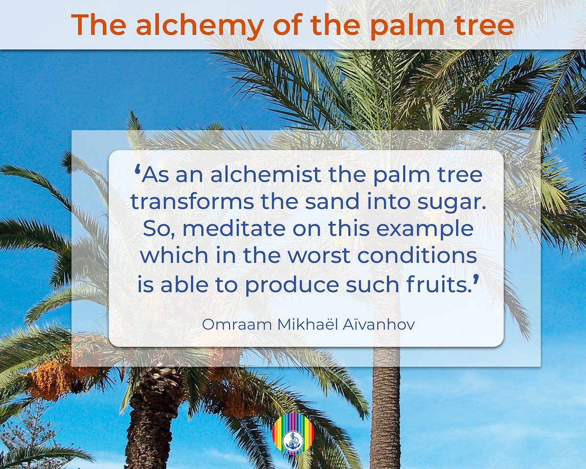 EditionProsveta's tweet photo. 'The #alchemy of the palm tree' - A thought from #Omraam Mikhaël #Aïvanhov - Calendar 2021 (August) 'What trees teach us'. #aivanhov #prosveta #spirituality #meditation #wisdom #meaningoflife https://t.co/ZInZMYU5vm