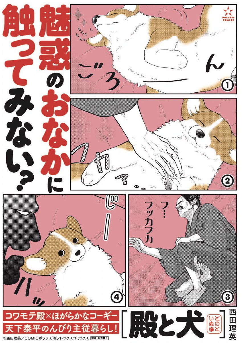 魅惑のおなか、発売中です🐶

『殿と犬』
①巻
https://t.co/kW41weV7Hx

②巻
https://t.co/ZO8Ed218mi 