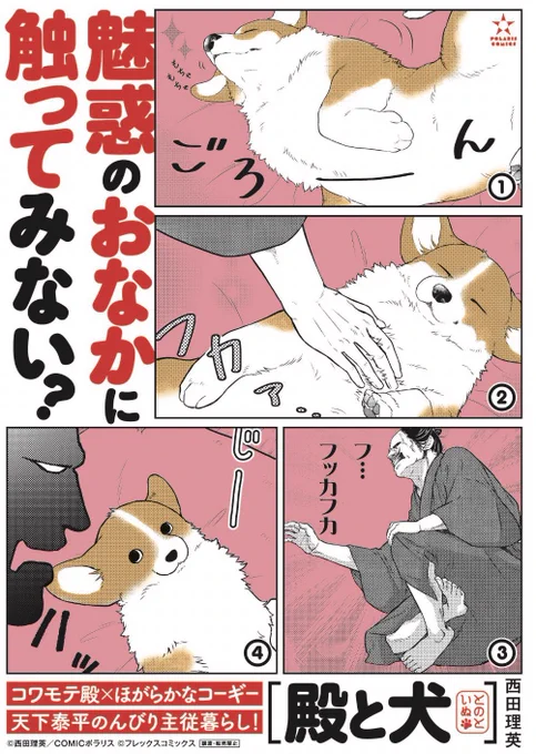 魅惑のおなか、発売中です🐶

『殿と犬』
①巻
https://t.co/kW41weV7Hx

②巻
https://t.co/ZO8Ed218mi 