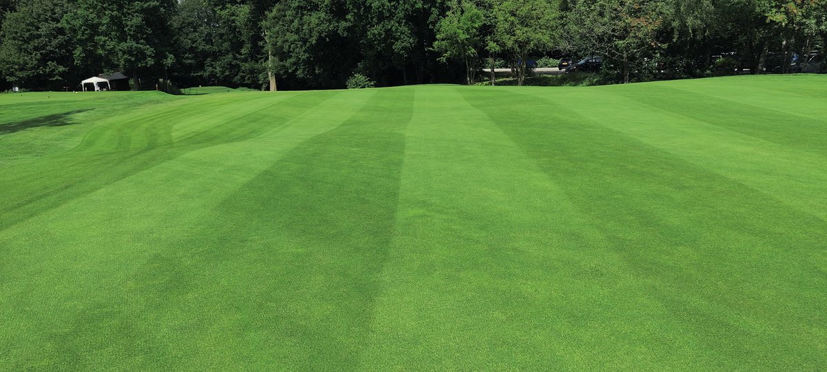 Greens fed this morning before tonight's rain. Quick recovery from all the work this week. <a href="/OriginAmenity/">Origin Amenity Solutions</a> @SymbioJez @rich_origin @HeadlandAlex <a href="/kelly_origin/">Kelly-Marie Clack</a>