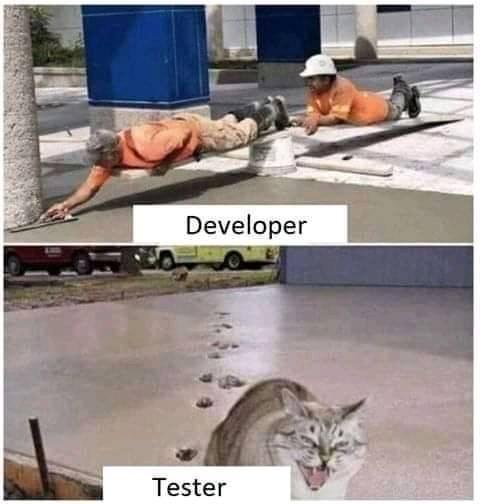 Software developers vs. testers