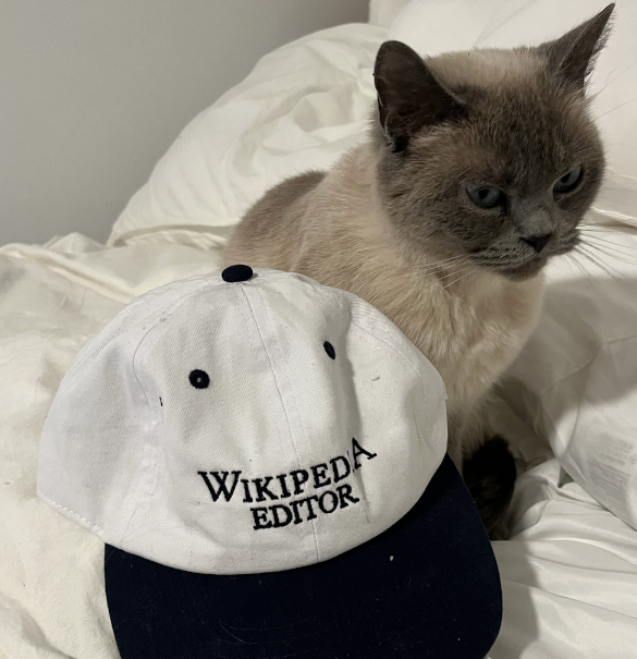 depths of wikipedia! tweet media