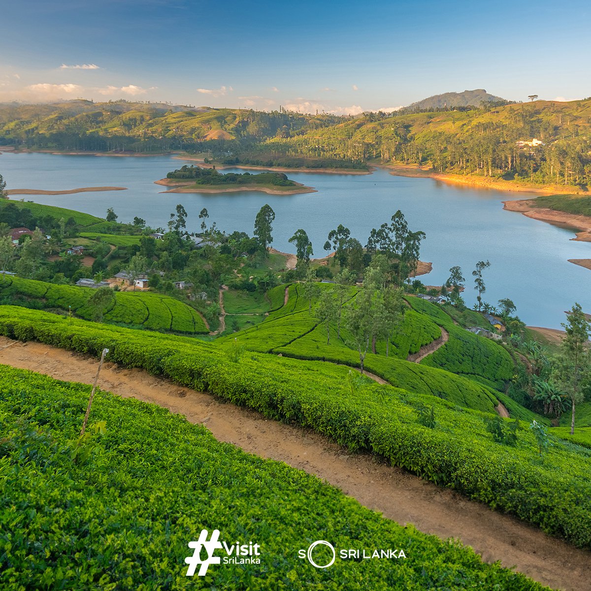 Columbus Tours Sri Lanka tweet media