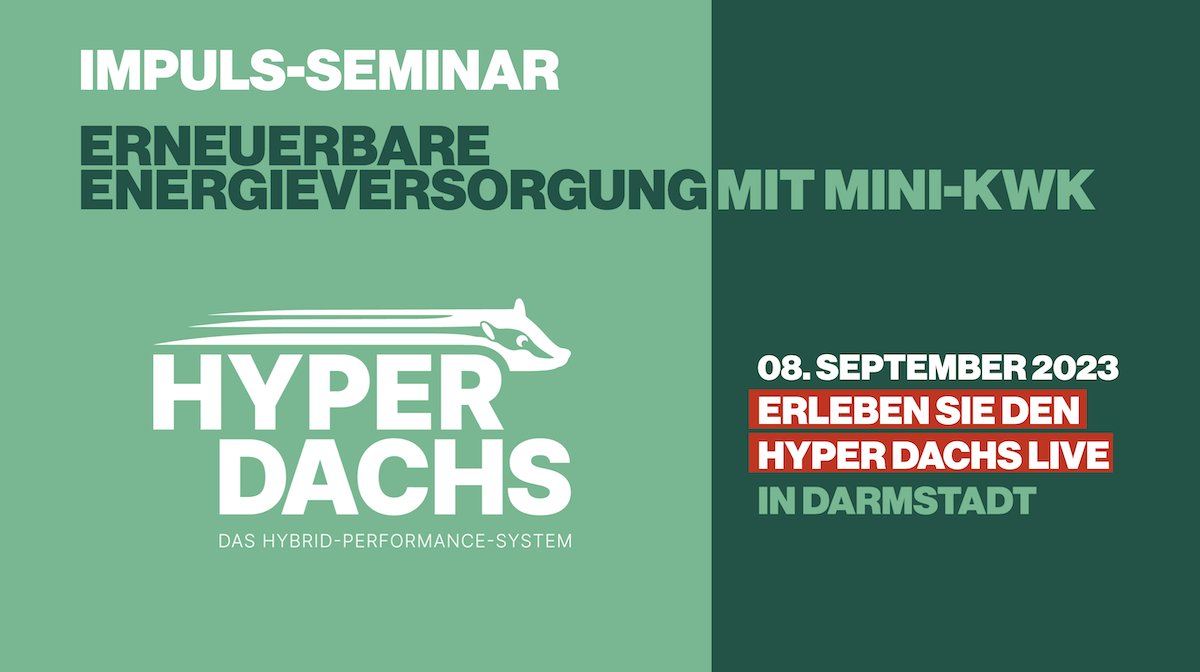 Der Dachs. tweet media