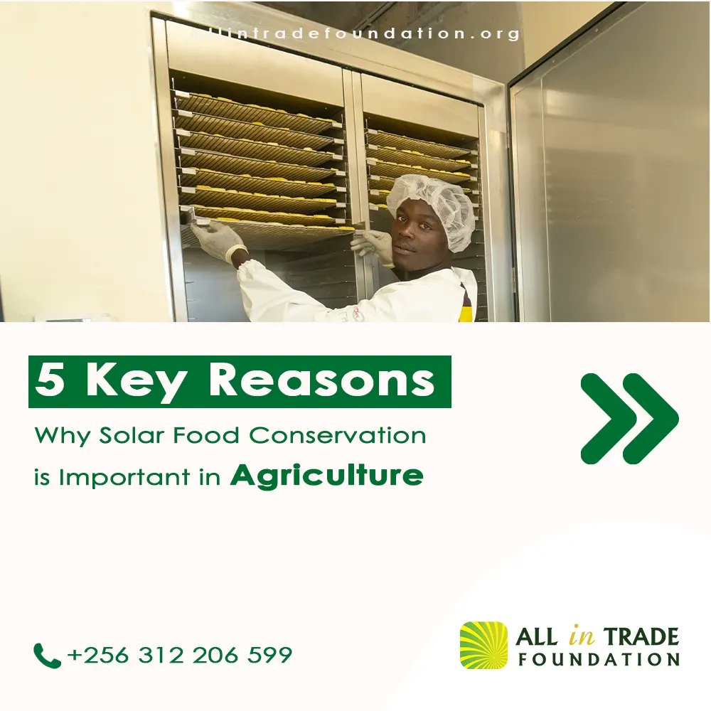 AITFoundation's tweet photo. Imagine harnessing the power of the sun to naturally dry and preserve fruits, vegetables, and food! 

With a commitment to reducing food waste and promoting eco-friendly practices, we've embarked on this innovative journey.

#CaptiveSolarFoodConservation #SolarFoodDrying #Solar https://t.co/nisbVQefDq