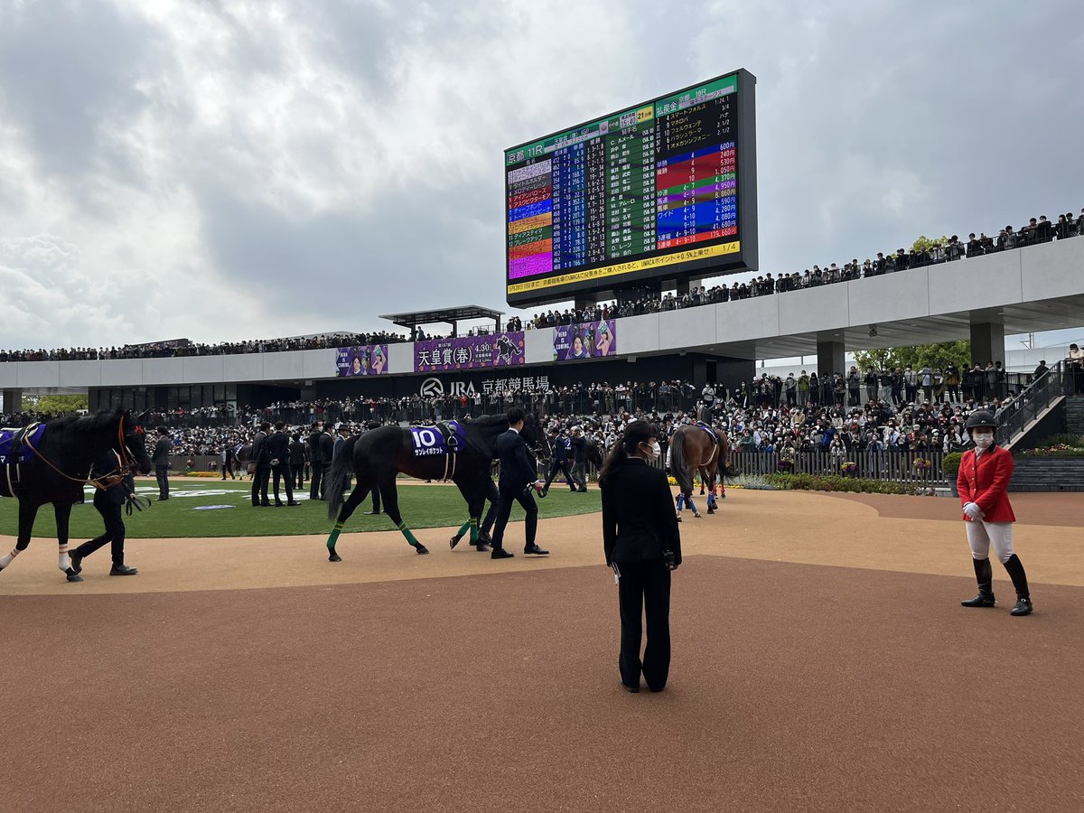 JRA高橋義忠厩舎 tweet media