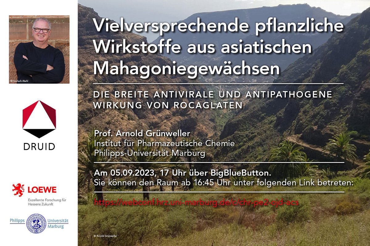 ProLOEWE (@proloewe) on Twitter photo ❗️‼️TIPP: Online-🗣️von Prof. Arnold Grünweller @LOEWE_DRUID dazu, wie man v. #indigenen_Völkern+trop.#Heilpflanzen lernen+diese heute nutzen kann➡5.09., 17🕔➡️Teilnahme hier➡️loewe-druid.de/loewe-zentrum-… <a href="/goetheuni/">Goethe-Universität</a> <a href="/jlugiessen/">Universität Gießen</a> <a href="/Uni_MR/">Philipps-Universität</a> <a href="/FraunhoferITMP/">Fraunhofer ITMP</a> <a href="/PEI_Germany/">Paul-Ehrlich-Institut</a> #Forschung #Hessen ❗️‼️TIPP: Online-🗣️von Prof. Arnold Grünweller @LOEWE_DRUID dazu, wie man v. #indigenen_Völkern+trop.#Heilpflanzen lernen+diese heute nutzen kann➡5.09., 17🕔➡️Teilnahme hier➡️loewe-druid.de/loewe-zentrum-… <a href="/goetheuni/">Goethe-Universität</a> <a href="/jlugiessen/">Universität Gießen</a> <a href="/Uni_MR/">Philipps-Universität</a> <a href="/FraunhoferITMP/">Fraunhofer ITMP</a> <a href="/PEI_Germany/">Paul-Ehrlich-Institut</a> #Forschung #Hessen