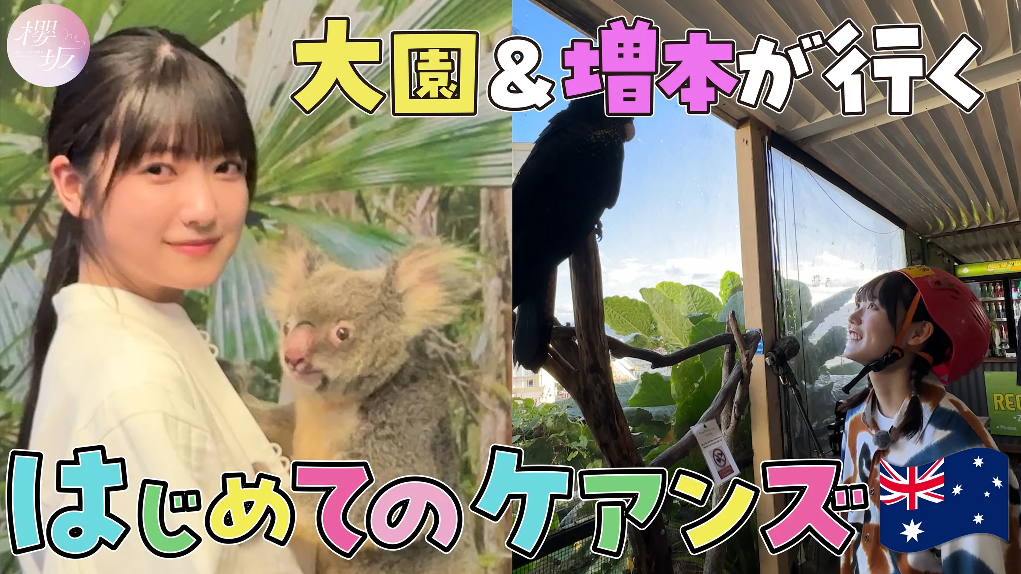 櫻坂46 on X: 