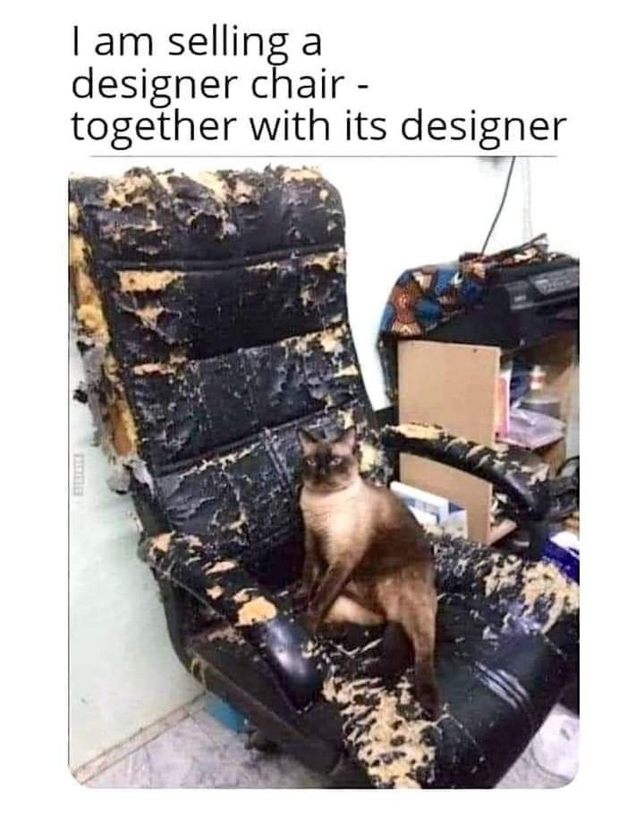 😂🐈🐈‍⬛🐈😂