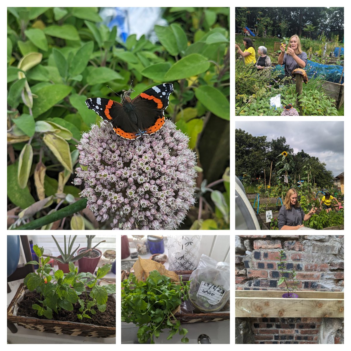 Thanks for having <a href="/Lauramcewingmc1/">LauraMcEwing CLP🧡</a> and I along yesterday. Such a lovely afternoon. Whitevale medical group now has its first plants propagating away on my windowsill thanks to <a href="/AngelaSmith_xo/">Angela Smith</a> and <a href="/Suzieq1402/">Suzie Wilson FARE</a> excited for next steps with other groups in the Eastend <a href="/BluevaleCC/">Bluevale Community Club</a>