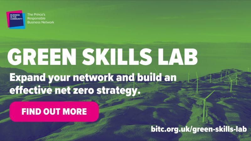 The speed and scale of #ClimateAction over the next 7 years cannot mirror the pace of the last 30. Join our #GreenSkills Lab to understand the culture and capabilities required to reach #NetZero. bitc.org.uk/business-in-th…