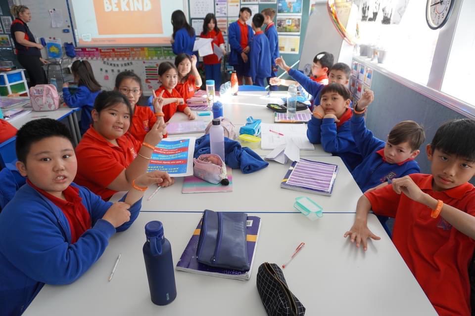 Harrington Street PS tweet media